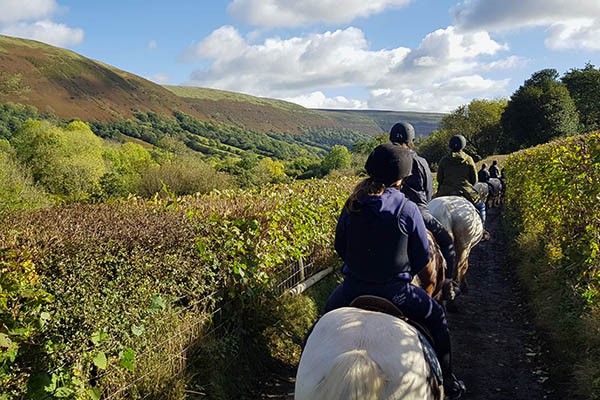 One Hour Horse Riding Experience for Two at Grange Trekking 