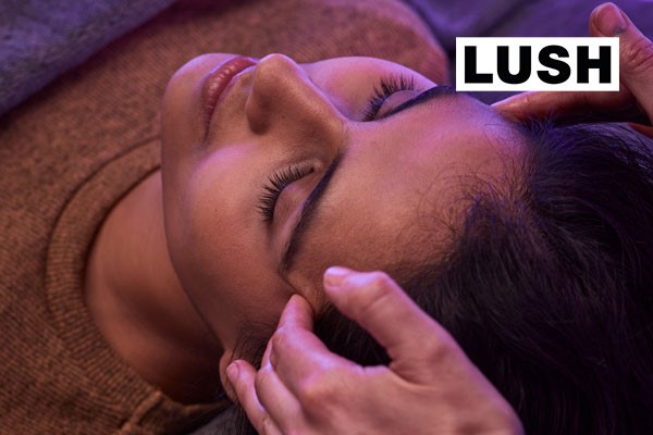 LUSH SPA TANGLED HAIR 25 Minute Scalp and Facial Massage for Two picture