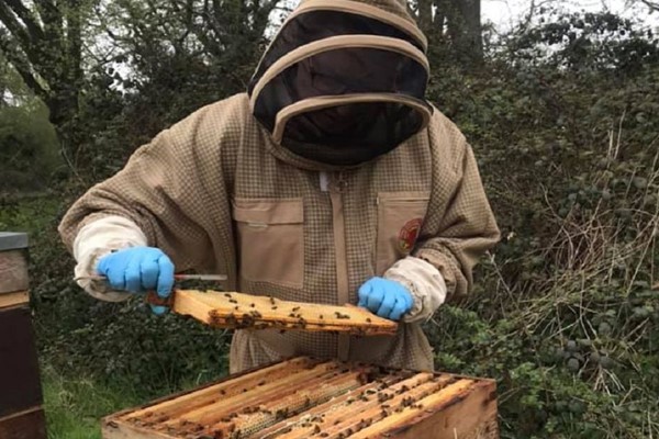 Inside the Hive Rural Beekeeping Experience for One with Park Farm Cottage