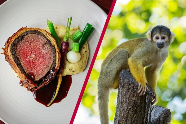 Entry to London Zoo for Two and a Two Course Meal at a Gordon Ramsay Restaurant picture