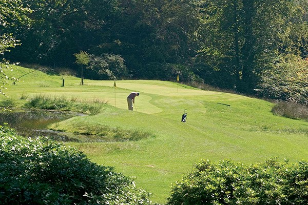 One Night Luxury Golf Break at Ashdown Park Hotel picture