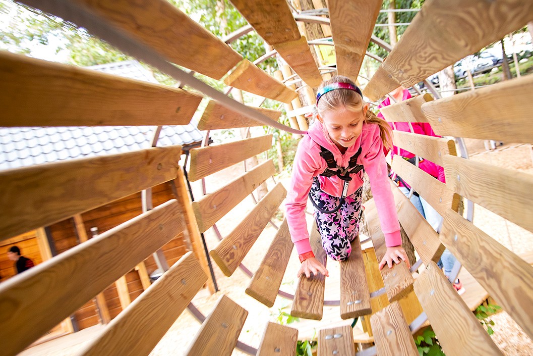 Treetop Adventure for One at Go Ape