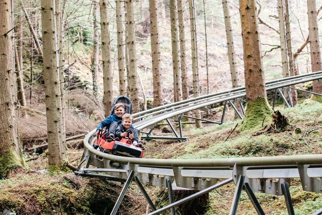 Zip World Fforest Coaster Ride Experience