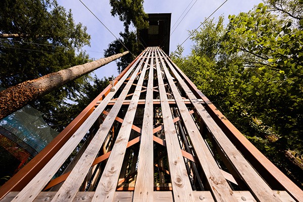 Zip Safari and Plummet for Two at Zip World