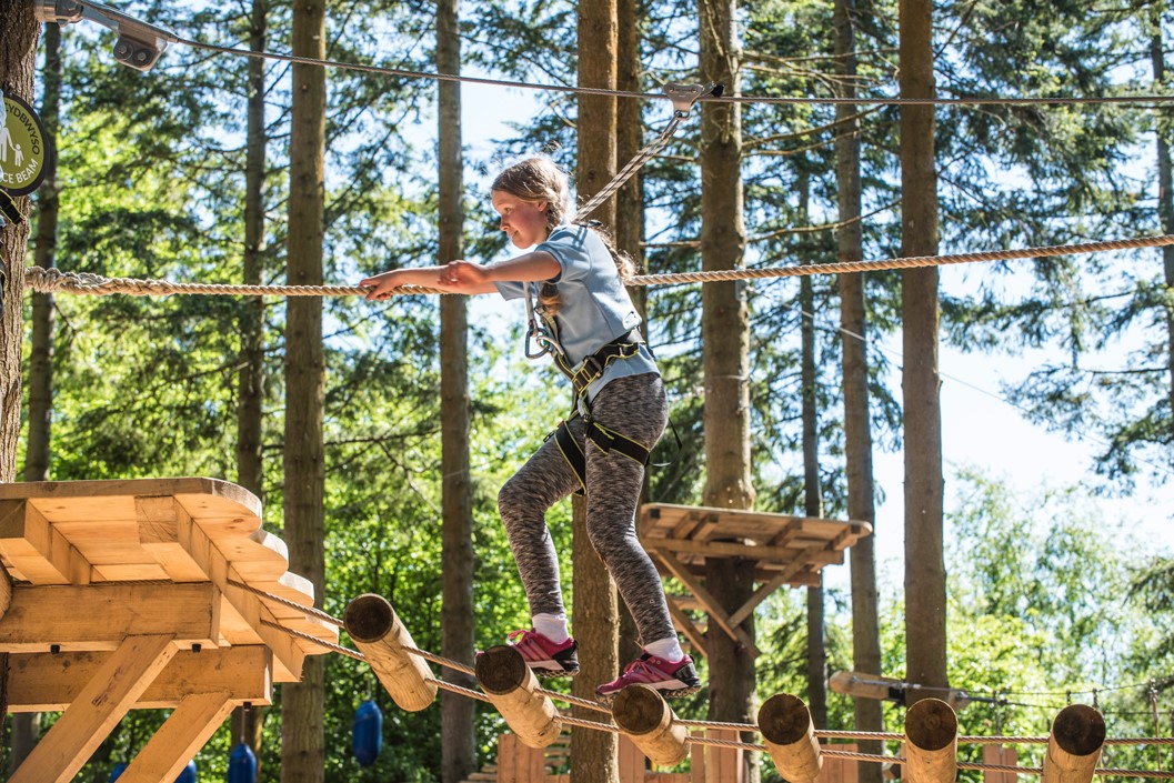 Zip World Tree Hoppers for Two