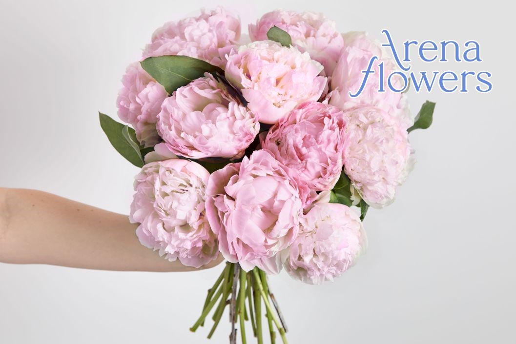 12-Month Ethical Flower Subscription from Arena Flowers