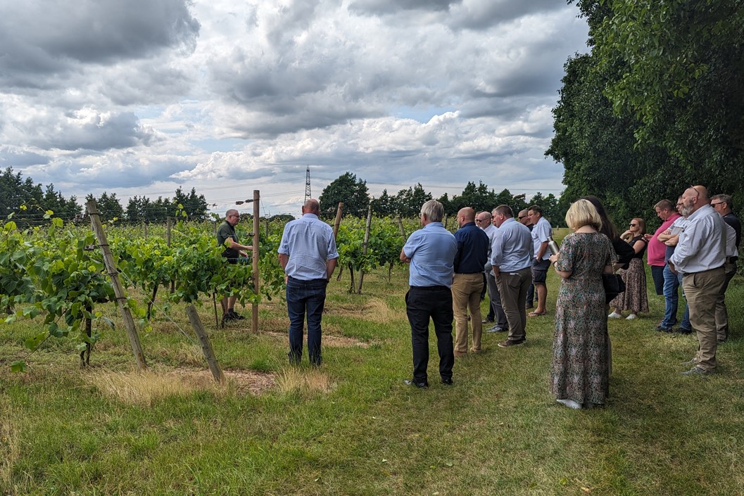 Vineyard Tour with a Wine and Cheese Tasting for Two at Giffords Hall
