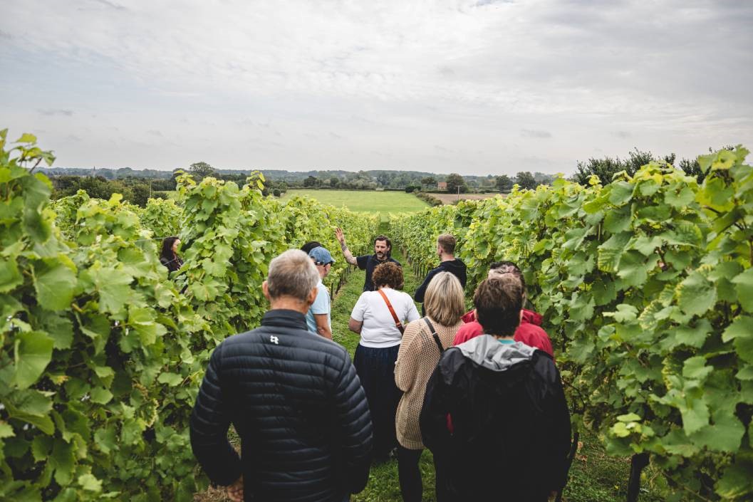 Flint Vineyard Tour for Two