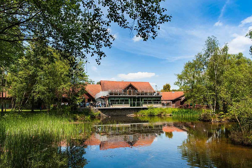Two Night Stay for Two in a Woodland Cabin Double at Chevin Country Park Hotel and Spa