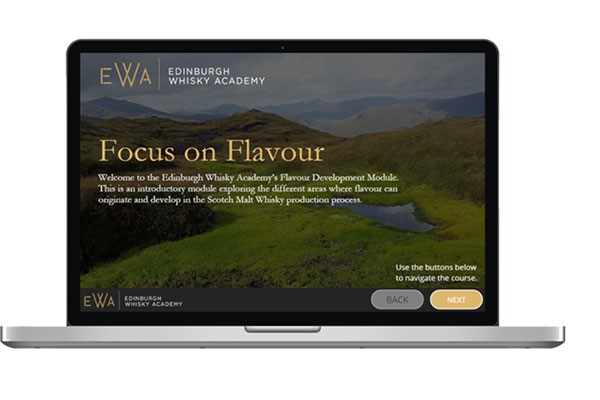 Image of Online Single Malt Scotch Whisky 'Focus on Flavour' Course for One