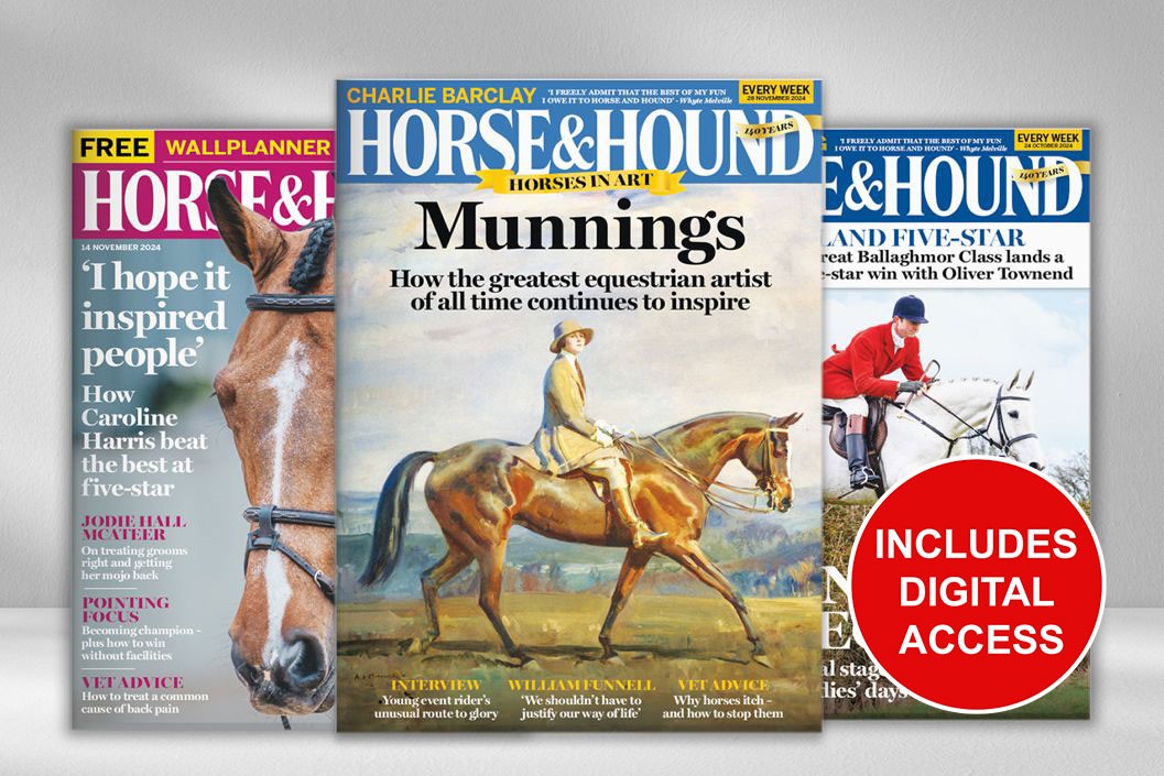 12 Months of Horse and Hound Magazine