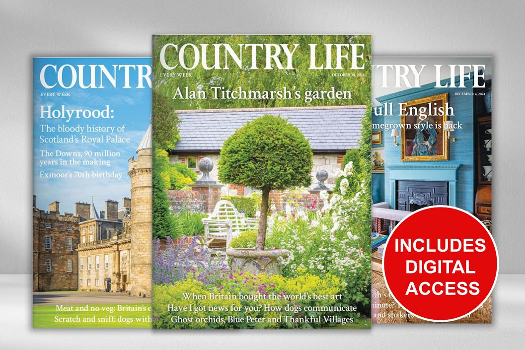 Three Months of Country Life Magazine