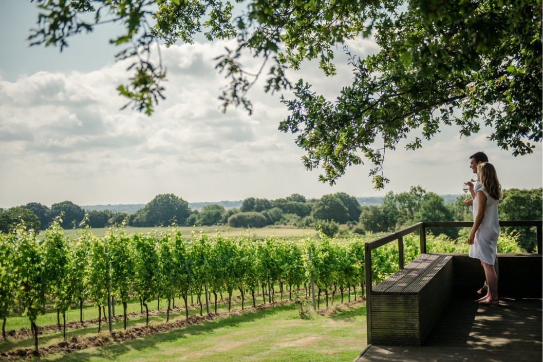 Gusbourne Estate Tour with Three Course Lunch and Sparkling Wine for Two
