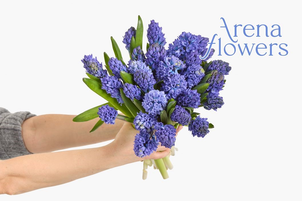 Six-Month Luxury Flower Subscription from Arena Flowers