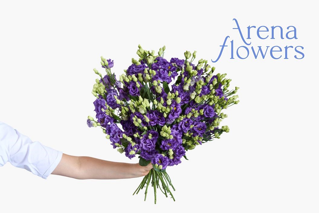 12-Month Luxury Flower Subscription from Arena Flowers