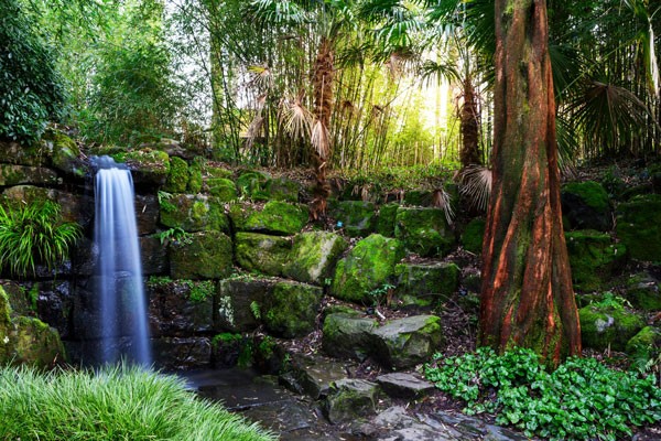 RHS Garden Entry for Two Adults