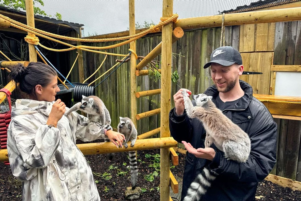 Private Lemur Encounter for Two People at Millets Wildside