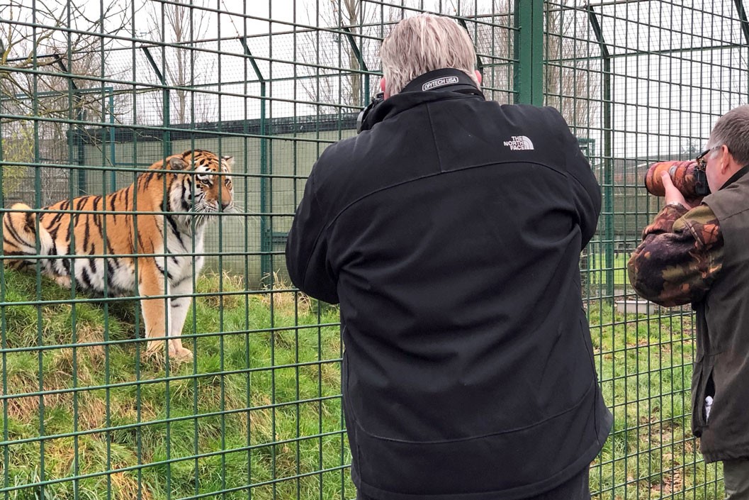 Big Cat Encounter at The Big Cat Sanctuary – Weekdays