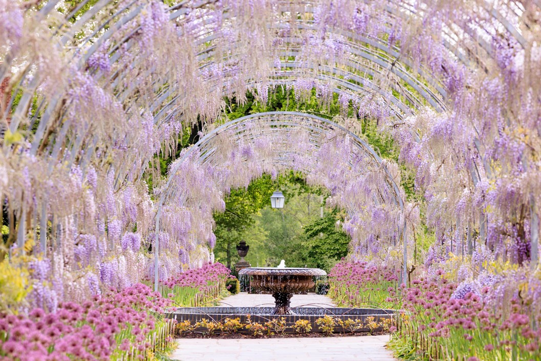 Rhs Wisley