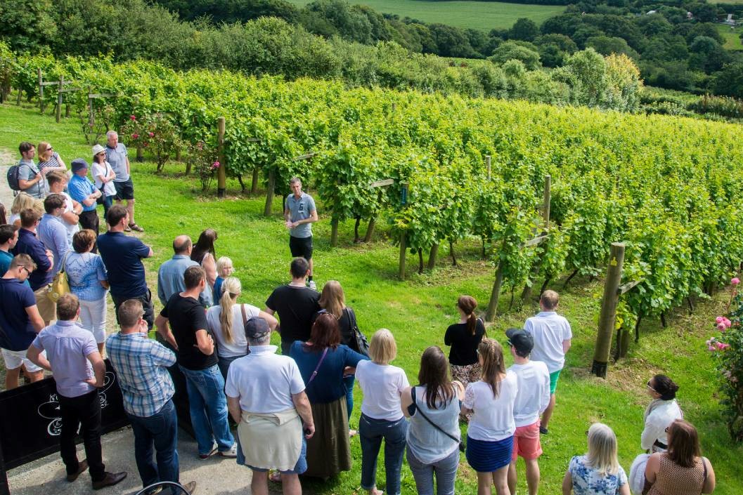 Guided Tour and Wine Tasting for Two at Camel Valley Vineyard