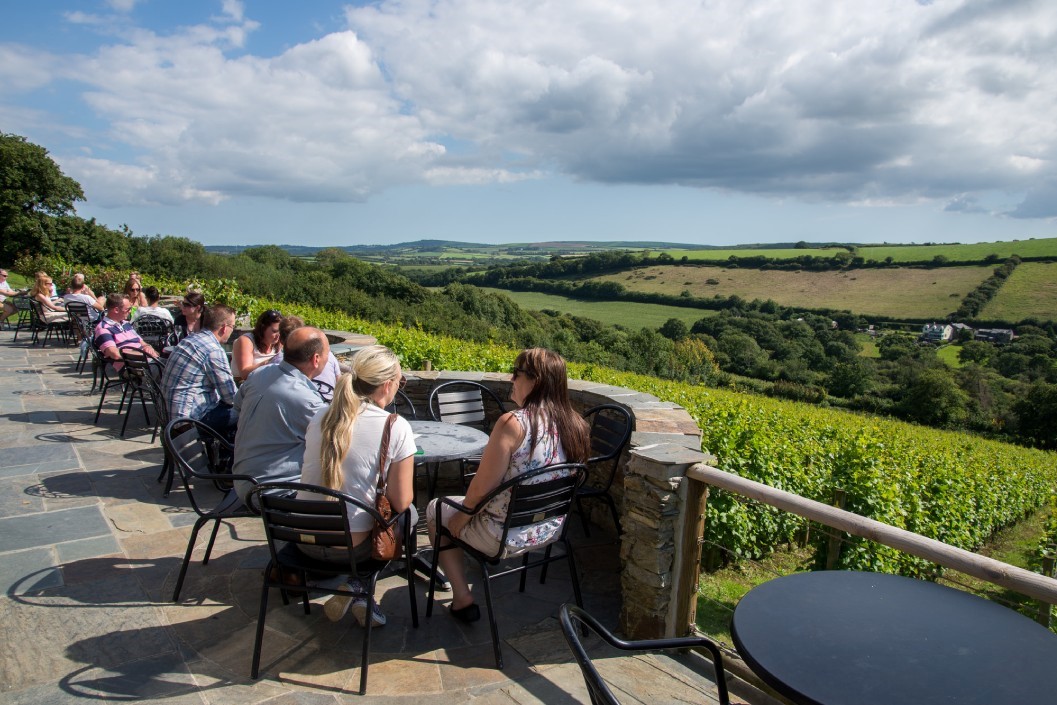 Wine Flight for Two at Camel Valley Vineyard