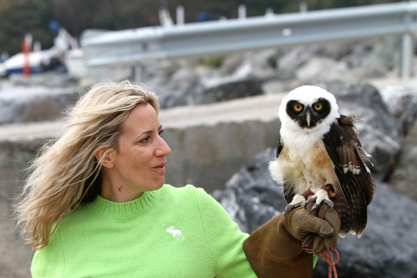 Birds of Prey Experience for One in the West Midlands