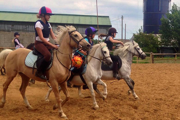 Horse Riding Lesson for One at Elmwood Equestrian Centre