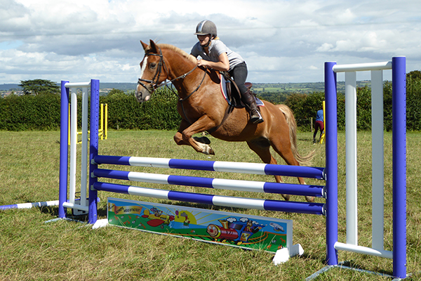 Horse Riding Lesson at Pevlings Farm for One