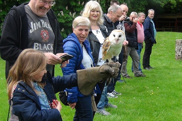 Three Hour Birds of Prey Experience for Two at Hawksflight Falconry