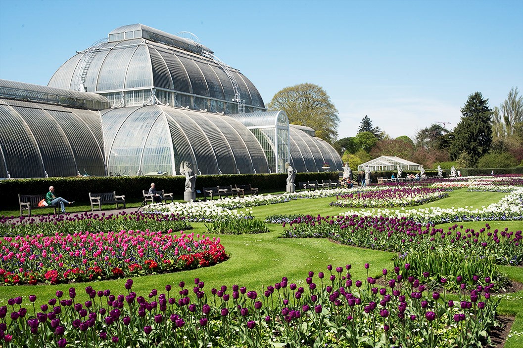 Image of Kew Gardens Admission with Private Guided Walking Tour for Two