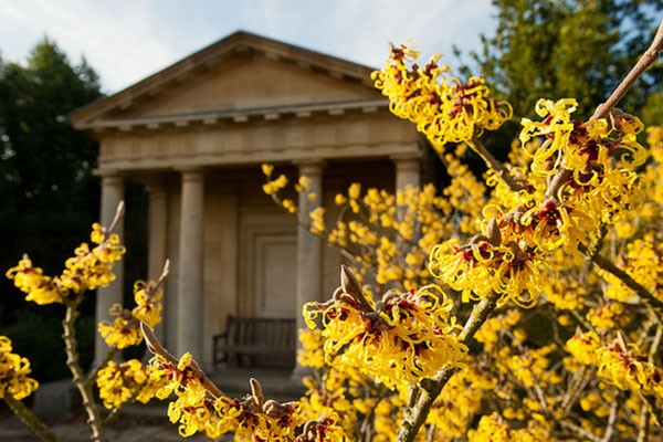 Kew Gardens Admission with Private Guided Walking Tour for Two