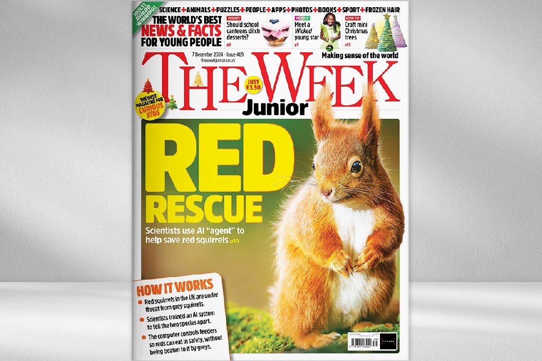 Six Months of The Week Junior Magazine