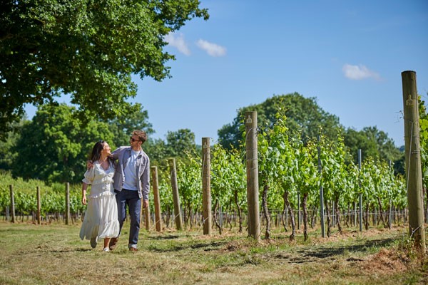 Vineyard Tour and Wine Tasting for Two with Brut Gift Box at Chapel Down Winery