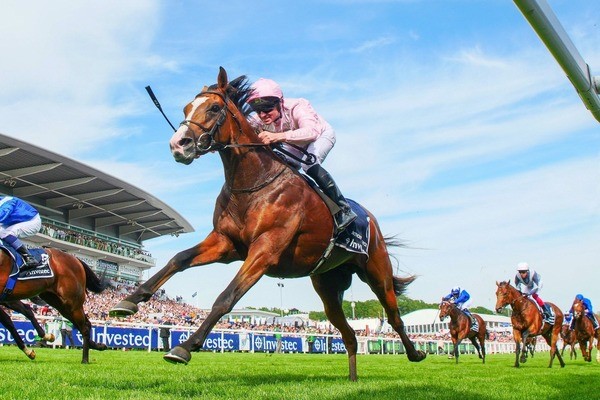 Horse Racing