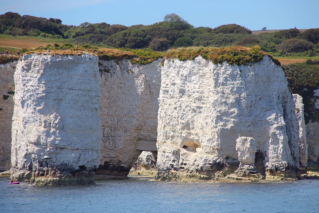 Harbour and Island Cruise for One Adult
