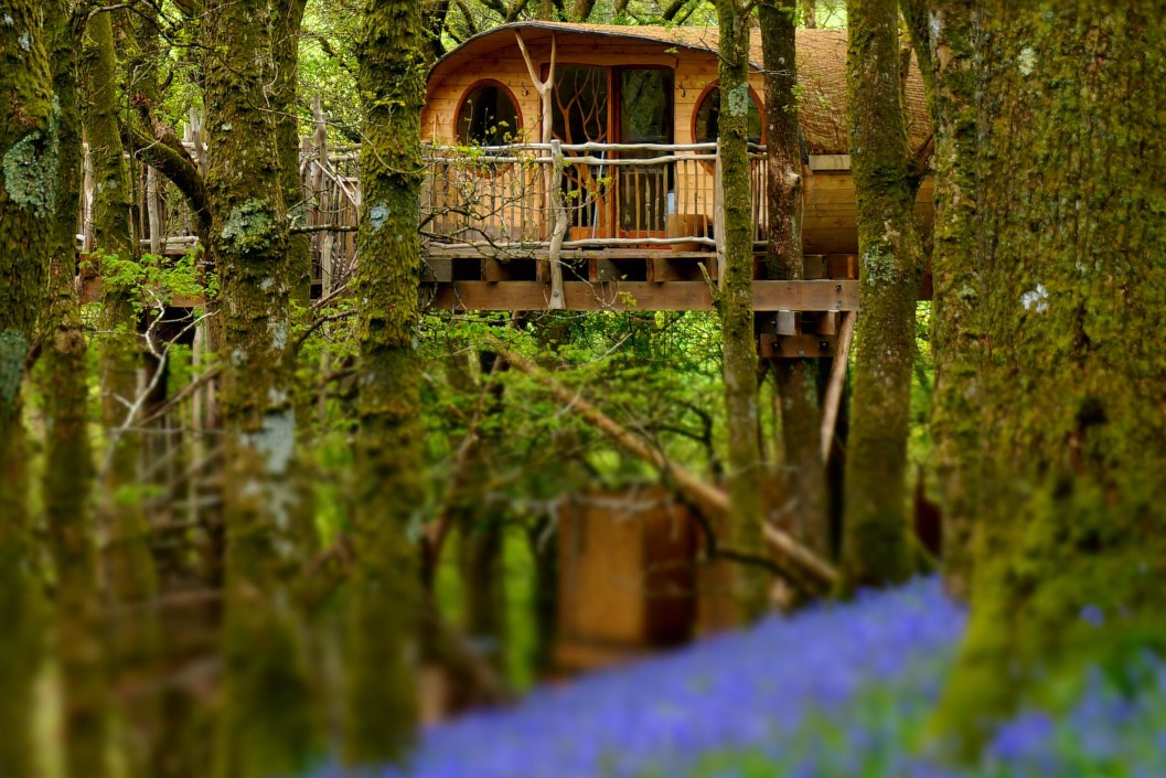 Two Night Treehouse Escape for Two in Wales