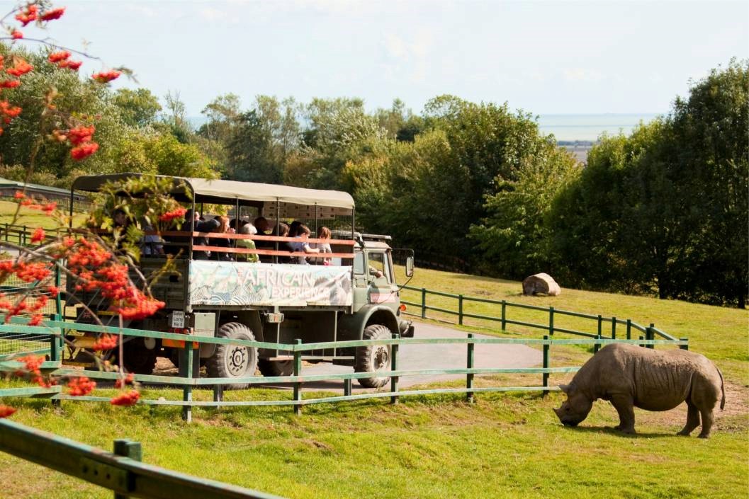 Port Lympne Reserve Entrance with Truck Safari and Afternoon Tea for Two
