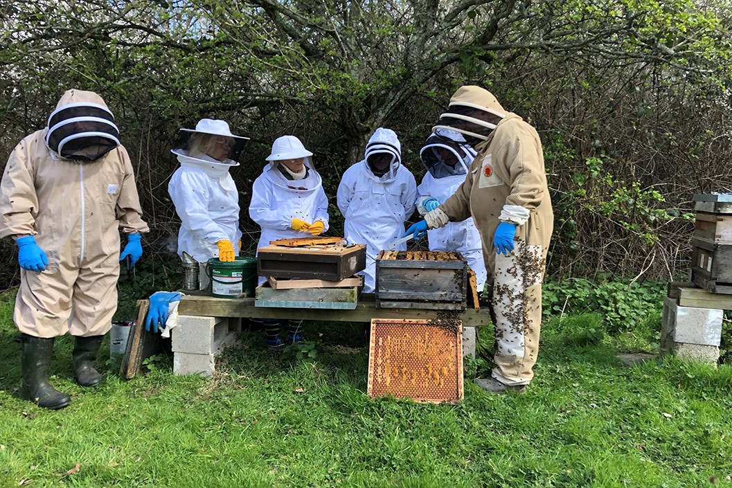 Inside the Hive Rural Beekeeping Experience for Two with Park Farm Cottage