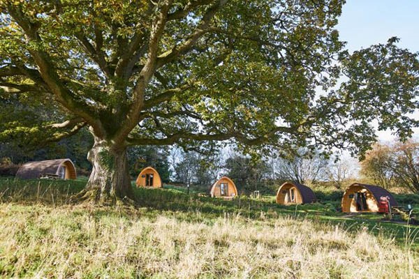 Two Night Mega Pod Glamping Break for Four at Whitemead Forest Park