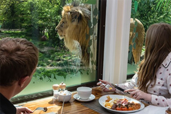 Luxury Lodge Overnight Stay for Two at The Big Cat Sanctuary - Weekdays