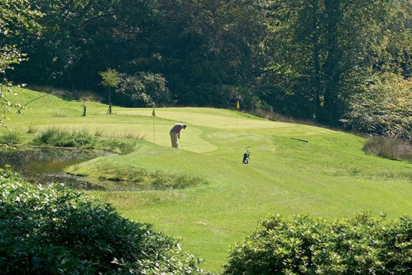 One Night Luxury Golf Break at Ashdown Park Hotel