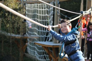 Hangloose at The Eden Project – Skytrek for Two Image 2