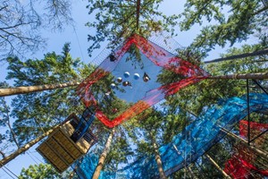 Treetop Nets for Two at Zip World picture