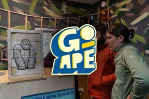 Escape Room for Two at Go Ape picture