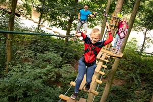 Treetop Adventure for One Adult and One Child at Go Ape Image 3