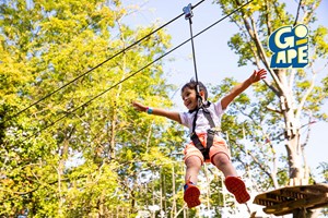 Treetop Adventure for One at Go Ape Image 1