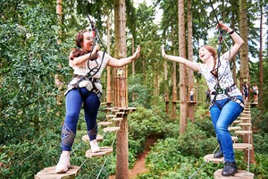 Treetop Challenge for One Adult at Go Ape Image 4