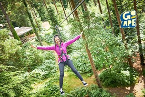 Treetop Challenge for One Adult at Go Ape picture