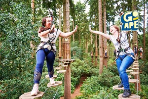 Treetop Challenge for Two Adults at Go Ape Image 1