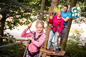 Treetop Adventure for Two at Go Ape picture